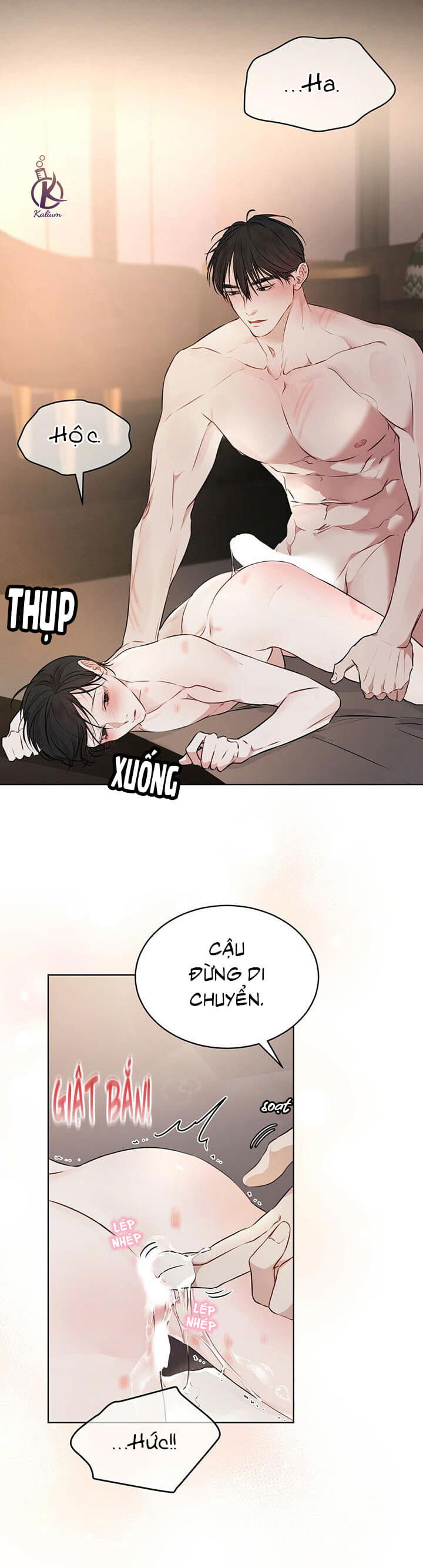 hình thái khởi sinh chapter 29 4