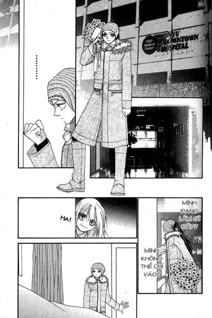 steel rose chapter 5 20