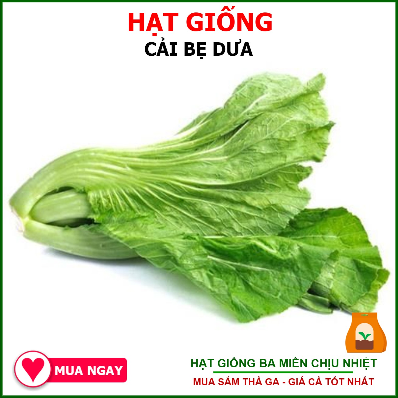 Hạt Giống Cải Bẹ Dưa Gói 20gram Sen Vàng