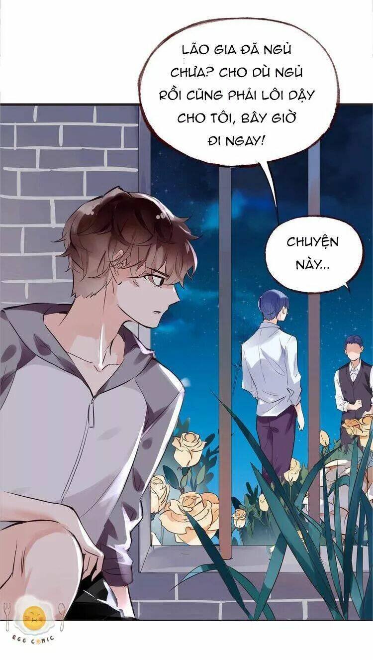 nở rộ trên bụi gai chapter 44 43
