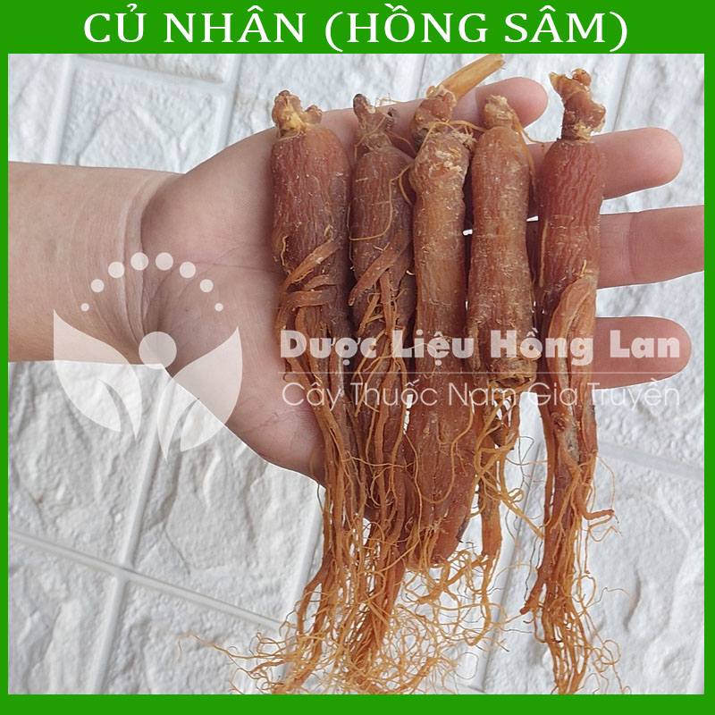 500G Củ Nhân Sâm Hàn Quốc khô loại 1