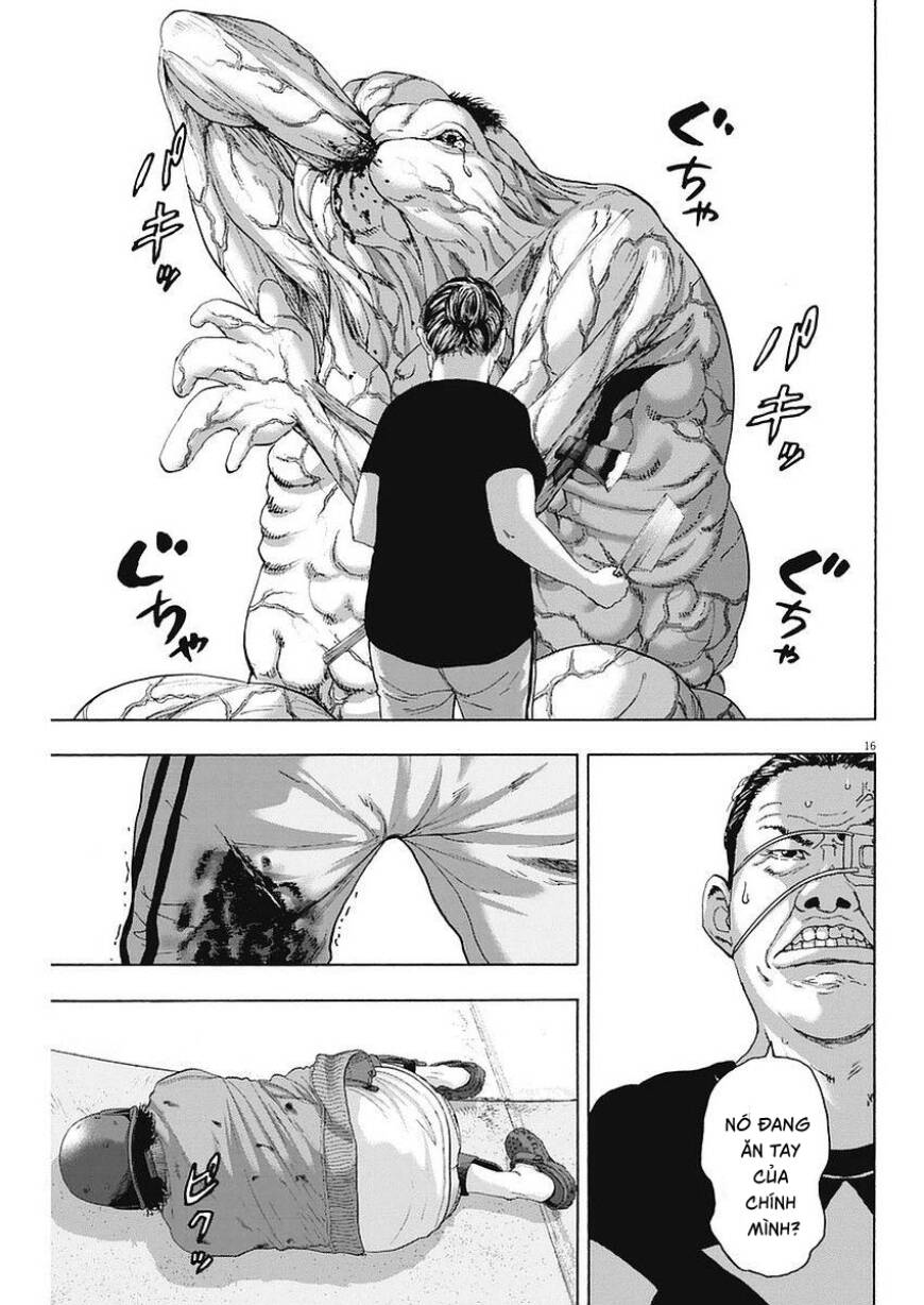 tôi là người hùng chapter 256 16