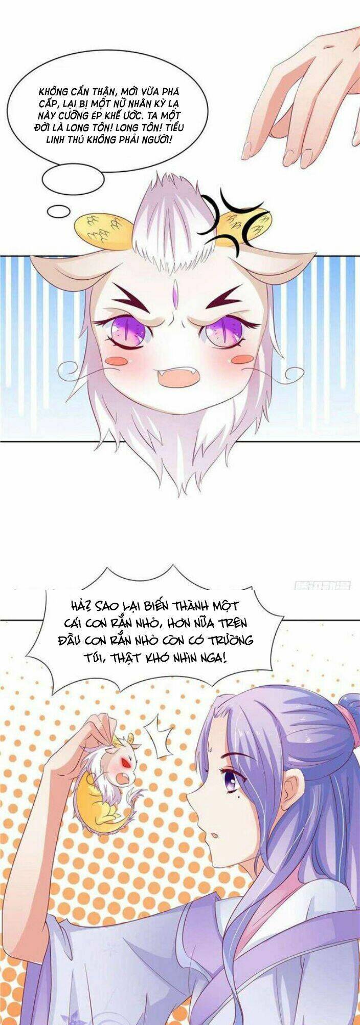 nghịch thiên độc y: long tôn cầu buông ra chapter 5 5