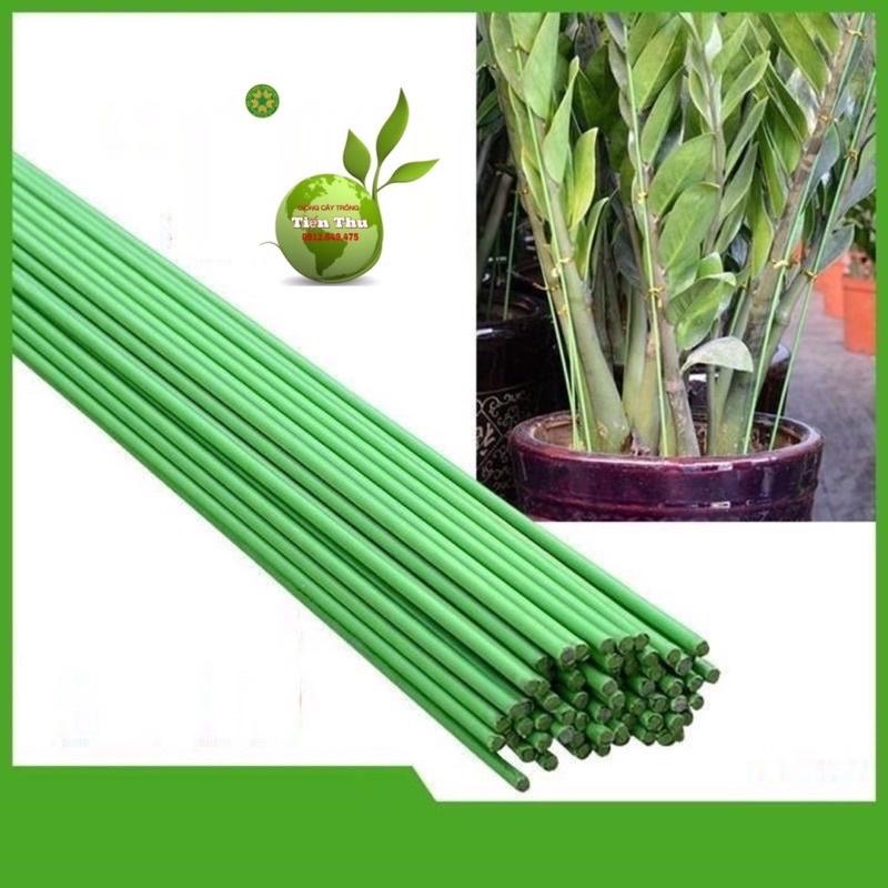 10 Que cắm lan, cây cảnh lõi thép bọc nhựa 1m