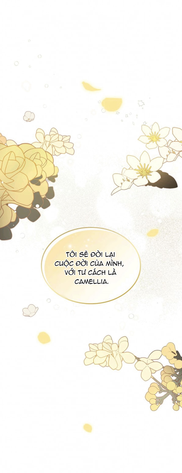 Đi Tìm Nàng Camellia Chapter 0 - Trang 2