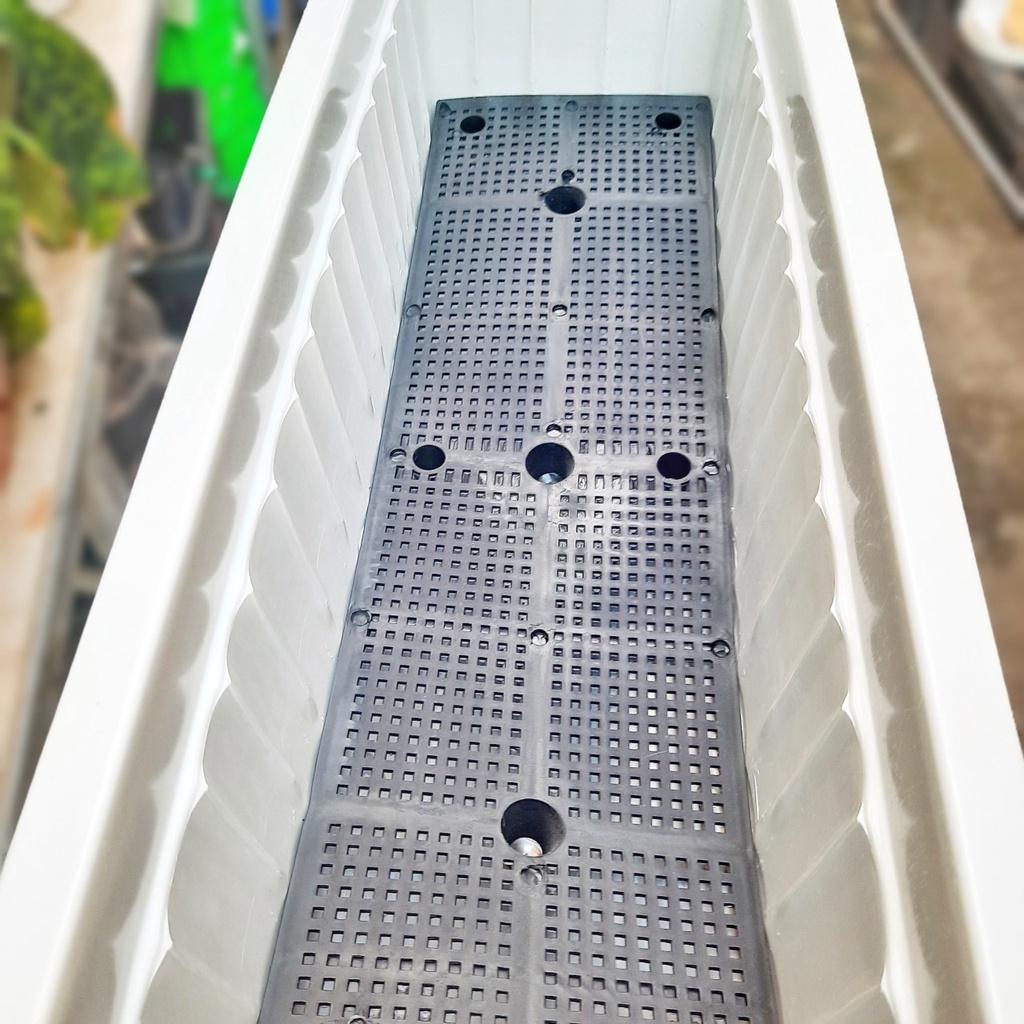 Khay chữ nhật/Chậu chữ nhật thông dụng trồng hoa, rau kích thước 65*25*20cm