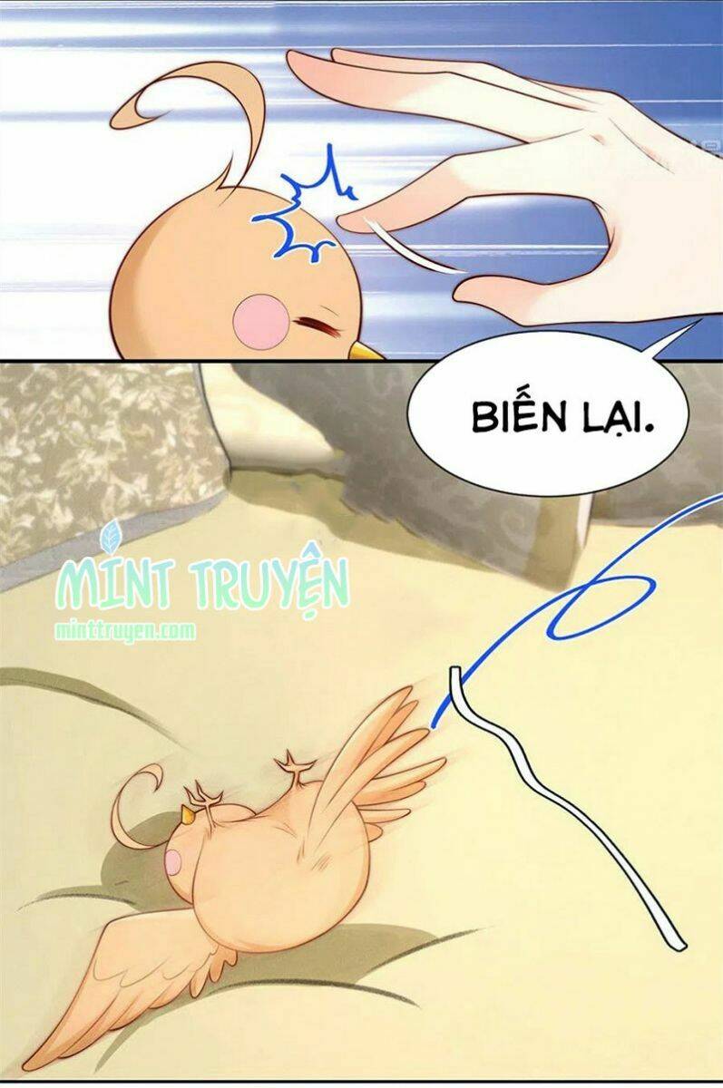 nam thần truy thê chỉ nam chapter 109.1 6