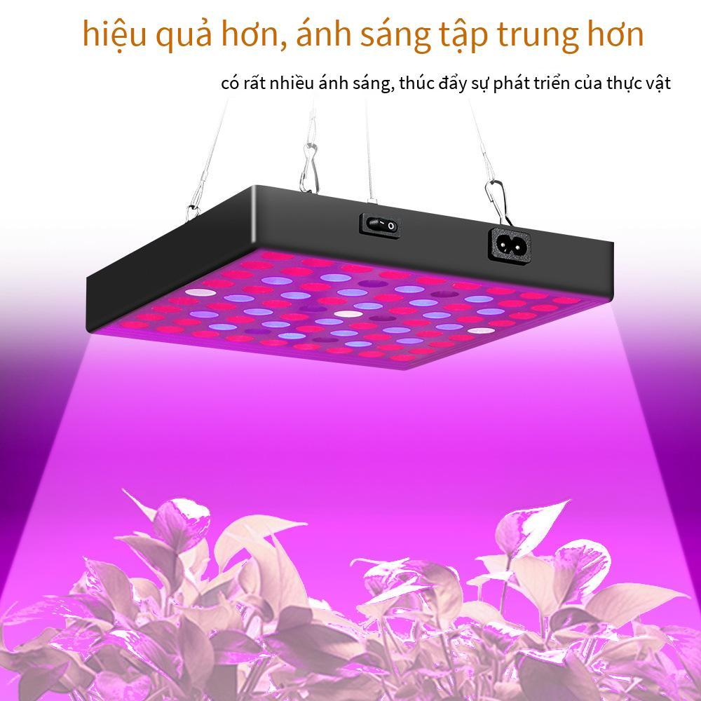 Đèn LED nhà máy thuận lợi nhất bảng lượng tử cây giống nhà kính cây mọng nước tăng trưởng lấp đầy ánh sáng toàn phổ thực vật đèn thực vật