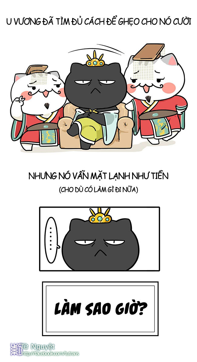 nếu lịch sử là một bầy mèo chapter 13 15