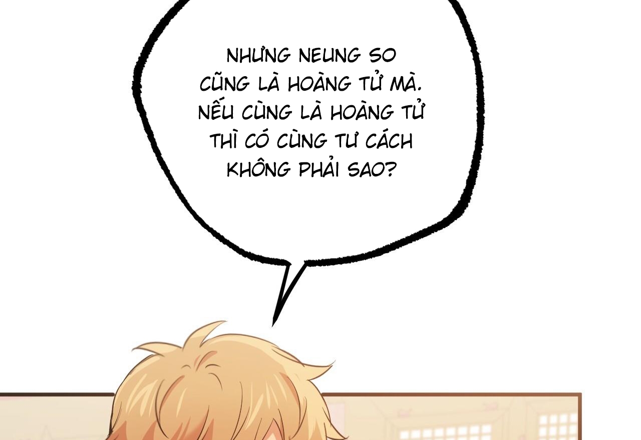 NHỮNG CHÚ THỎ CỦA HAPYPY chapter 62