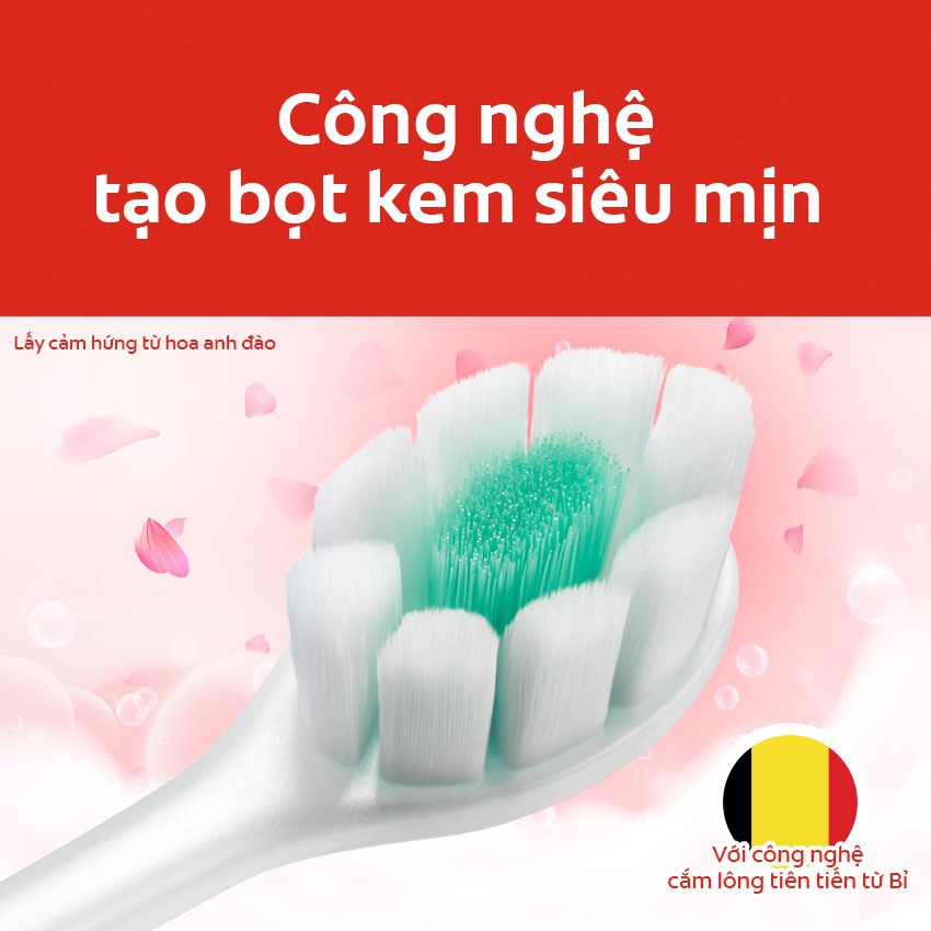 Bộ 12 bàn chải đánh răng Colgate Cushion Clean tặng kèm 12 tuýp Kem đánh răng Colgate size du lịch