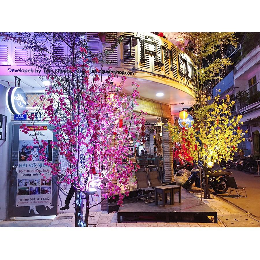 Chùm hoa mai hoa đào gắn cây trang trí ngày Tết