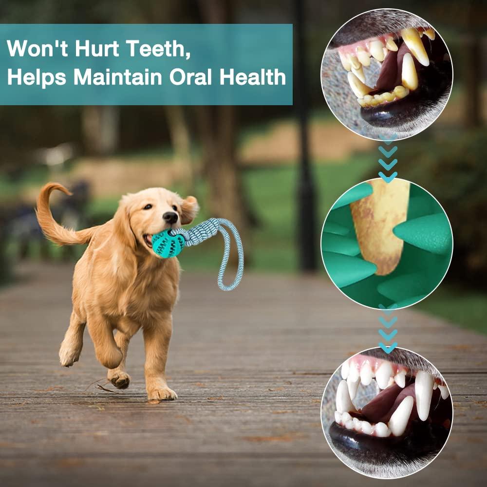 Bóng đồ chơi chó với dây thừng, 2 miếng bóng chó với dây, bóng chó không thể phá hủy 6cm, ném đồ chơi cao su chó, bánh chơi cho chăm sóc nha khoa chó nhỏ lớn bắt