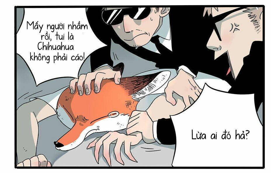 cáo a cát kém tắm chapter 3 19