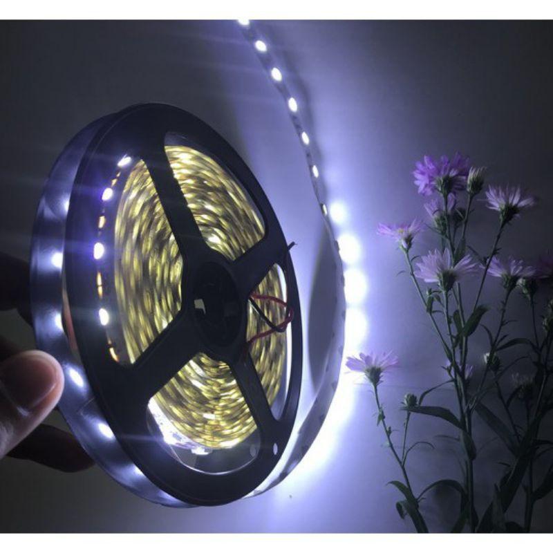 Cuộn Led dây SMD5050, cuộn 5m 12Vdc