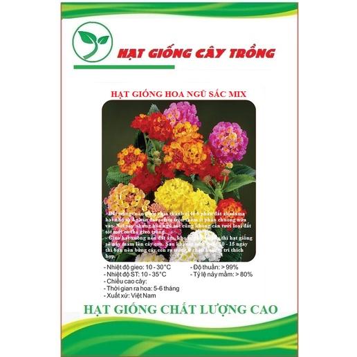 Hạt Giốn Hoa Ngũ Sắc Nhiều Màu - Gói 20 hạt