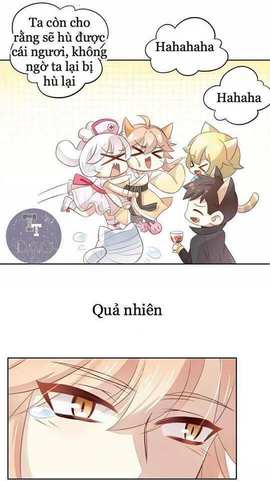 dưới móng vuốt mèo chapter 18 48