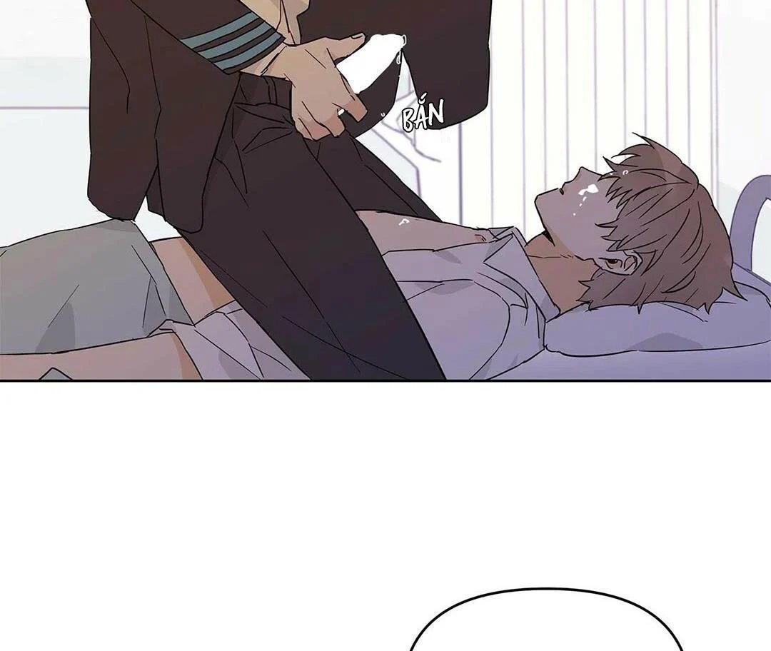 guide cấp b chapter 17 46