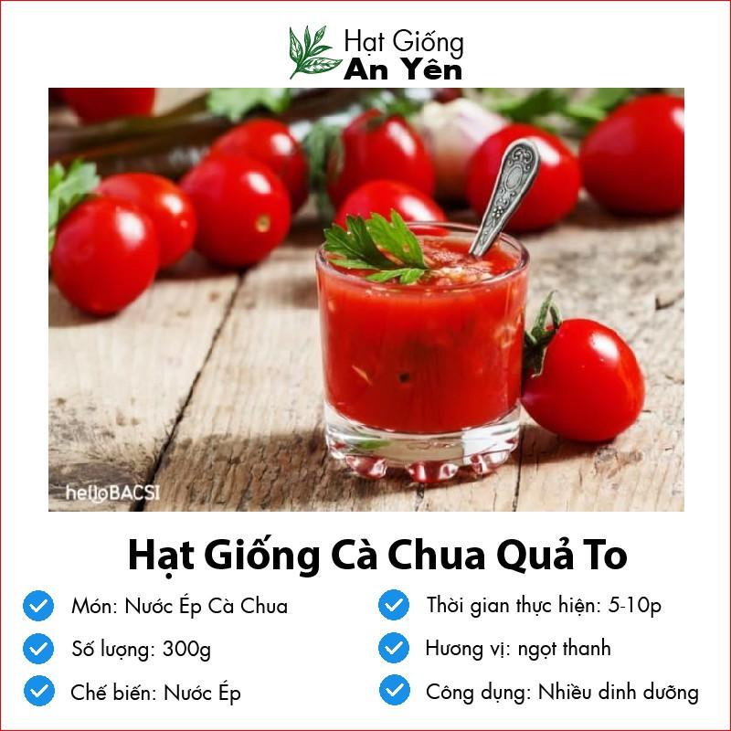 Hạt giống Cà Chua To Ấn Độ thu hoạch sớm, dễ trồng, nảy mầm cao, sinh trưởng khoẻ