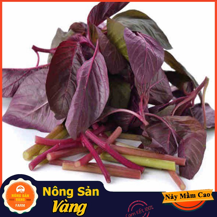 Hạt giống Rau Dền Đỏ - Nông Sản Vàng