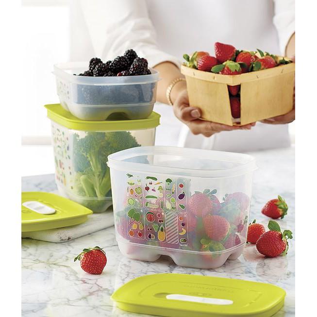 Bộ Hộp Trữ Mát Rau Củ Ventsmart 4 Tupperware, Hộp Có Nút Hô Hấp Giúp Trái Cây Tươi Lâu Hơn, Hộp Biết Thở