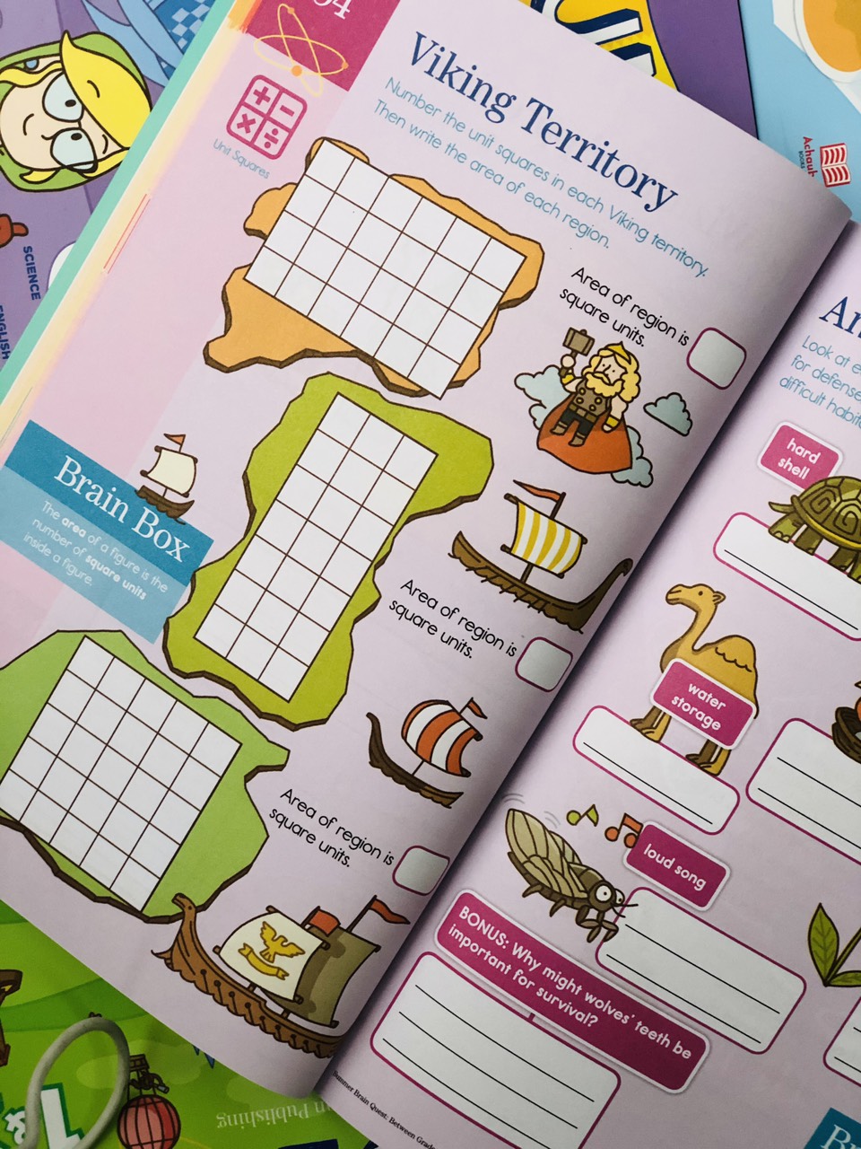 Sách summer brain quest 3&4 phát triển tư duy iq cho bé - in màu