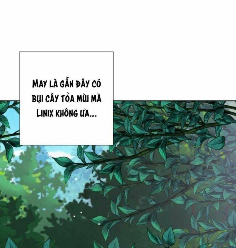 cách mà kỵ sĩ sống như tiểu thư chapter 31 76