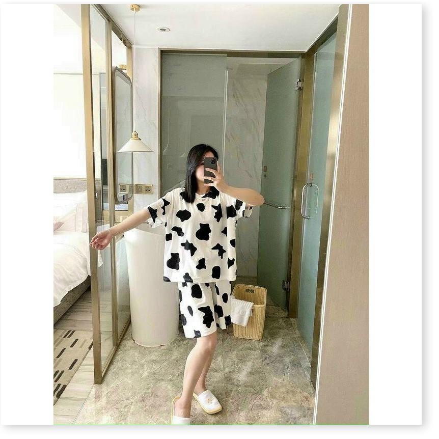 Đồ bộ bò sữa thun Cotton cực xinh