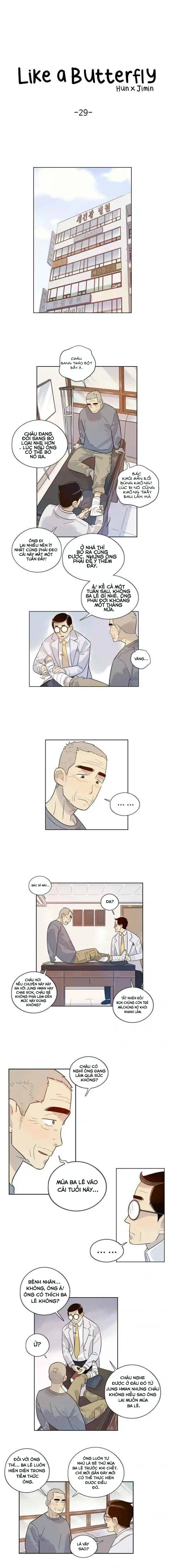tôi muốn bay như một con bướm chapter 29 1