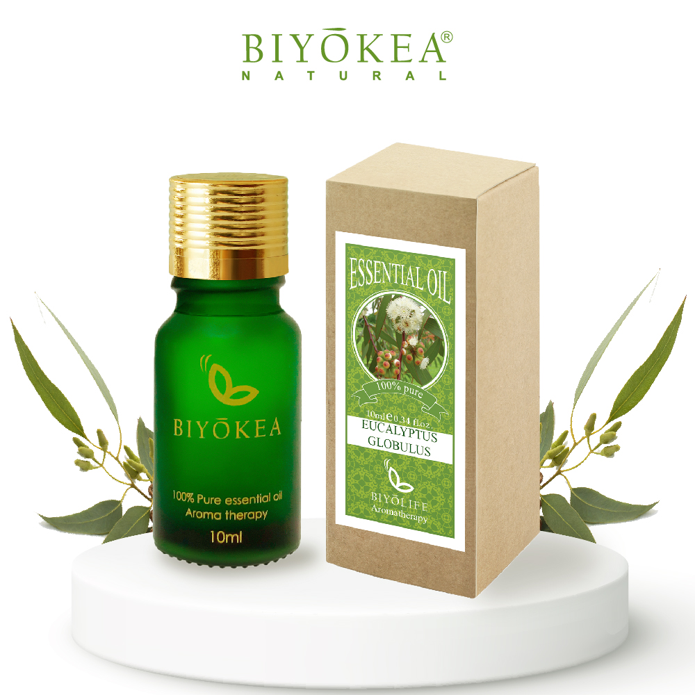 Tinh Dầu Khuynh Diệp Biyokea