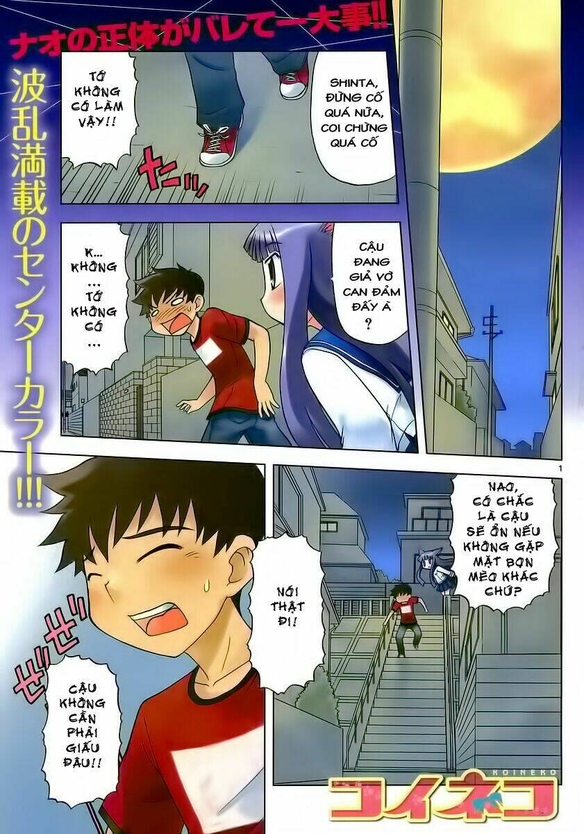 koi neko chapter 37 1