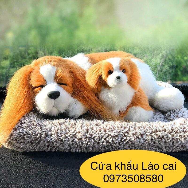Chó đôi để taplo xe oto- chó mèo than hoạt tính Size to