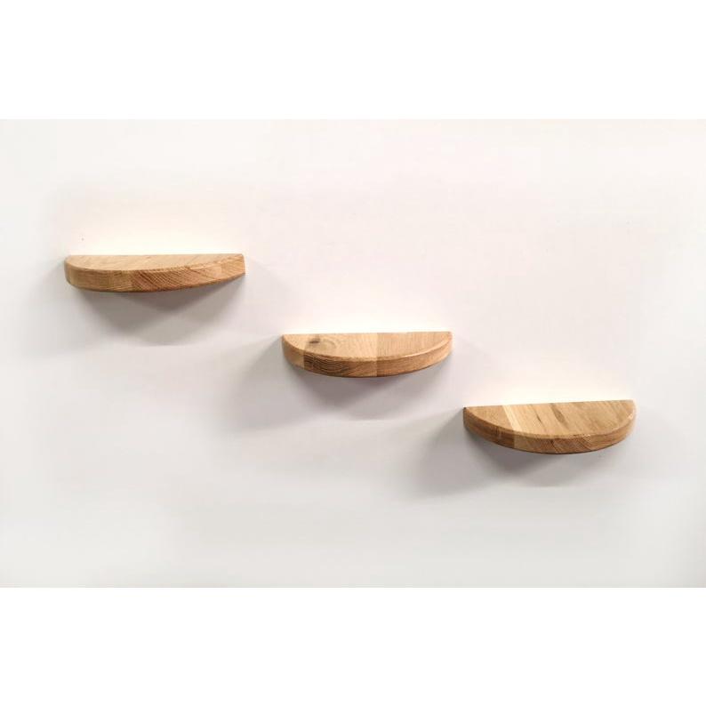 Set 3 kệ treo tường trang trí để đồ lưu niệm cây cảnh mini nửa hình tròn đường kính 30 cm gỗ thông dầy 1.8 cm
