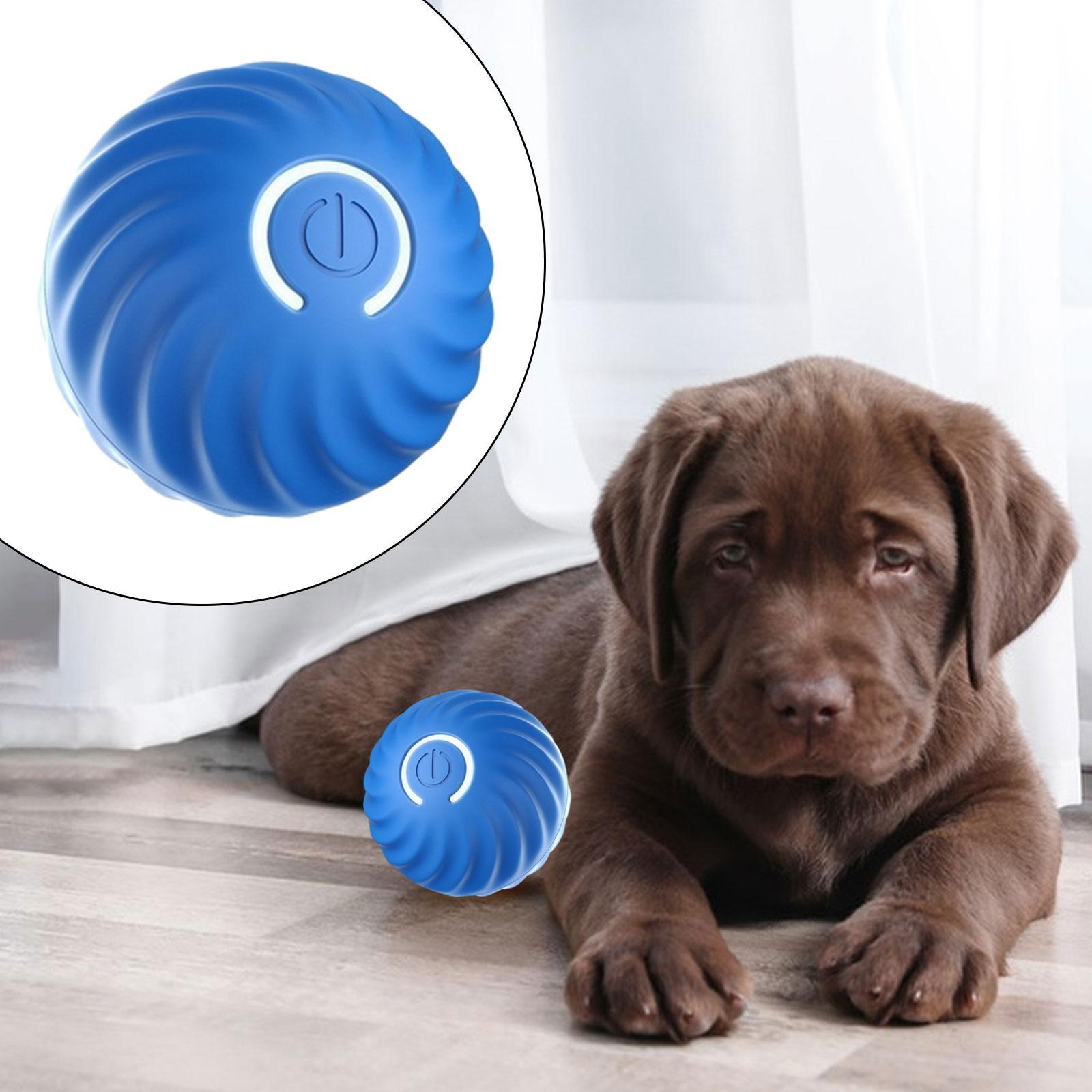 Interactive Cat Toy Ball Moving Rolling Pets Toy Ball Silicone Training Resistant to Bite Electric Automatic Pet Exercise Ball
