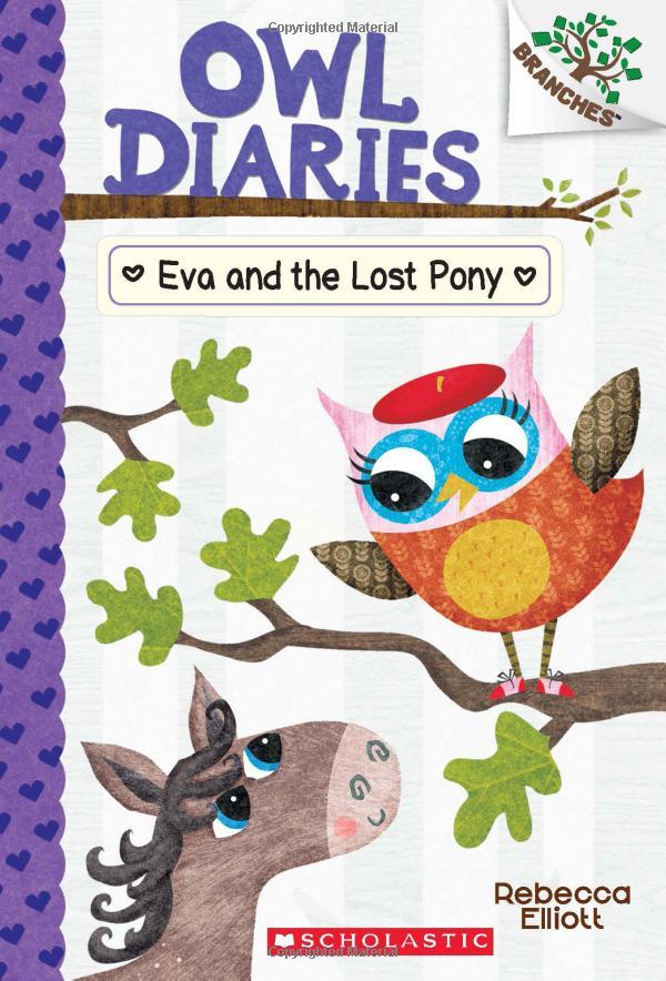 Sách ngoại văn: OWL DIARIES #8: EVA AND THE LOST PONY