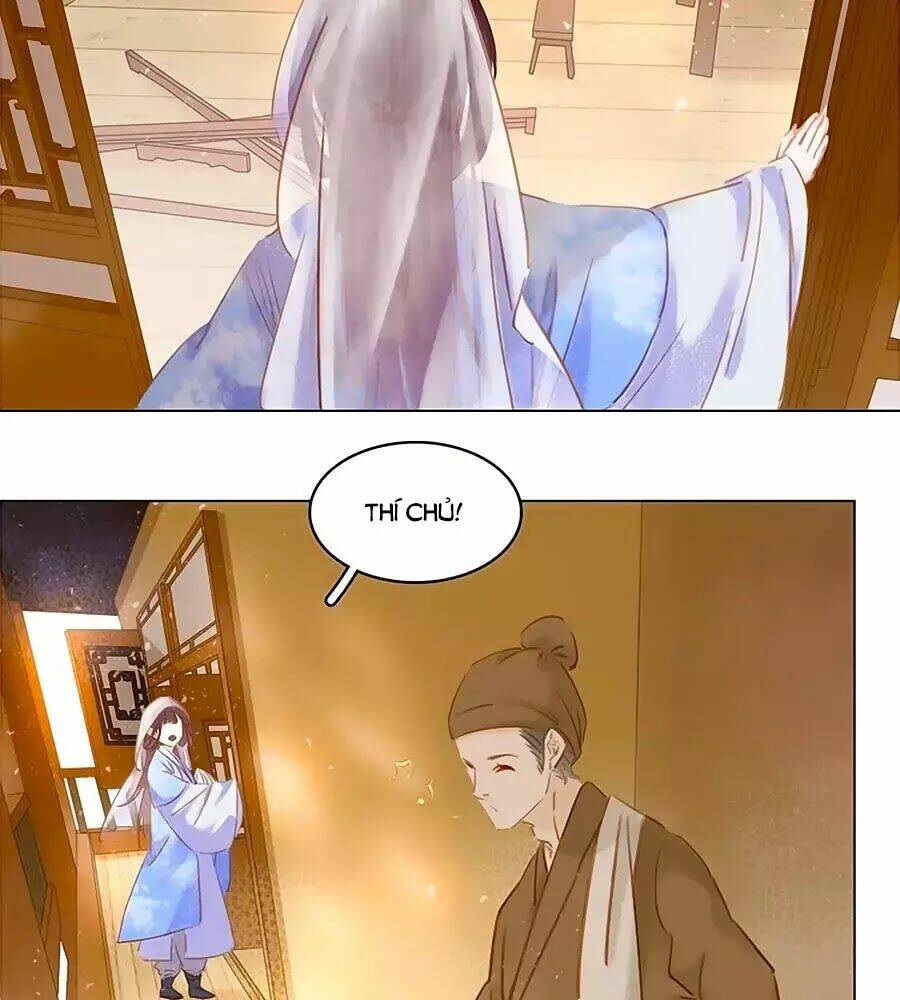 tiểu sư phụ, tóc giả của ngài rơi rồi! chapter 8 8