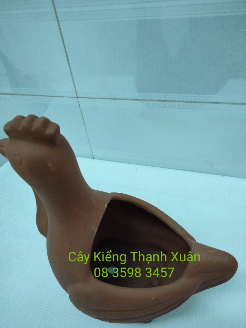 Chậu trồng cây, chậu đất nung hình Con gà, Chậu hình thú trồng cây hoa kiểng, sen đá, xương rông, cây may mắn, cây mini