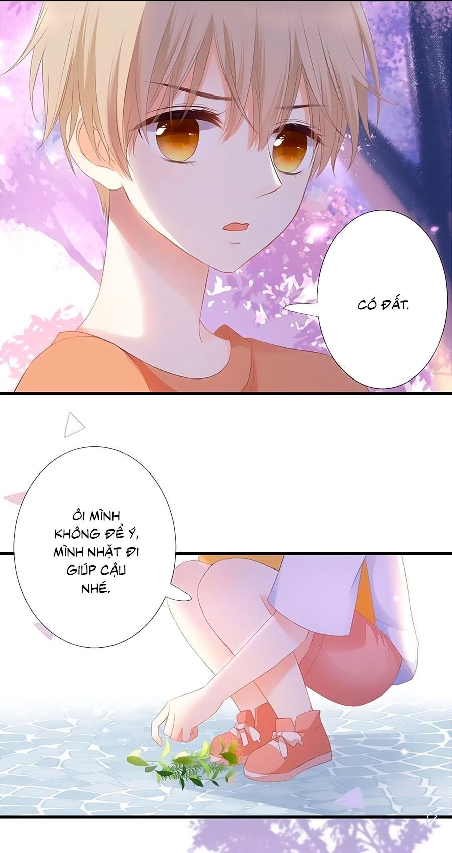 hoa chưa nở rộ chapter 39.6 12
