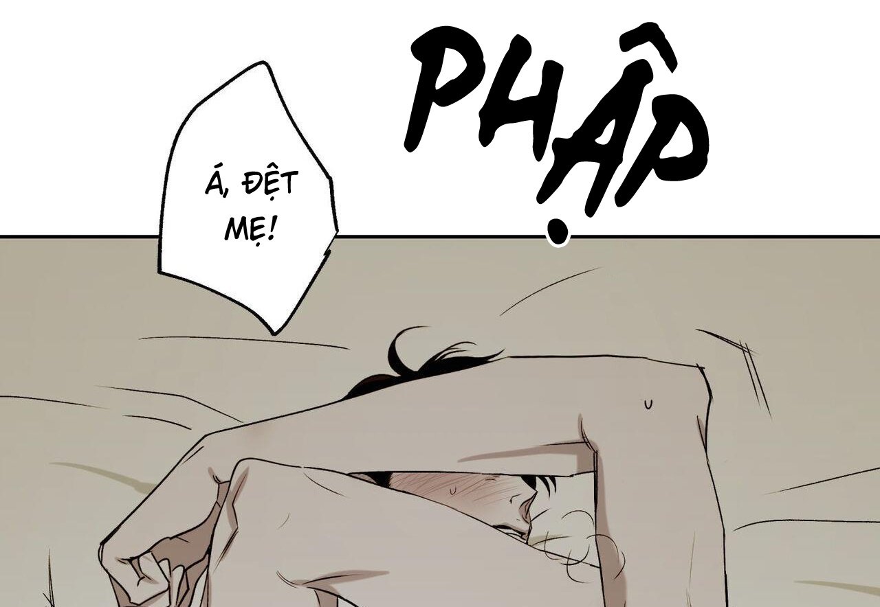 chàng giao pizza và gold palace chapter 48 21