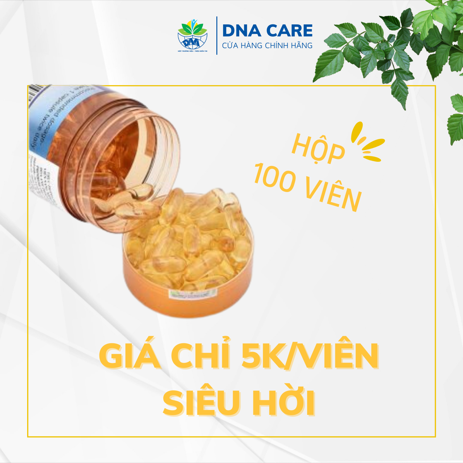 Viên uống nội tiết tố hoa anh thảo Costar Evening Primrose Oil hộp 100 viên