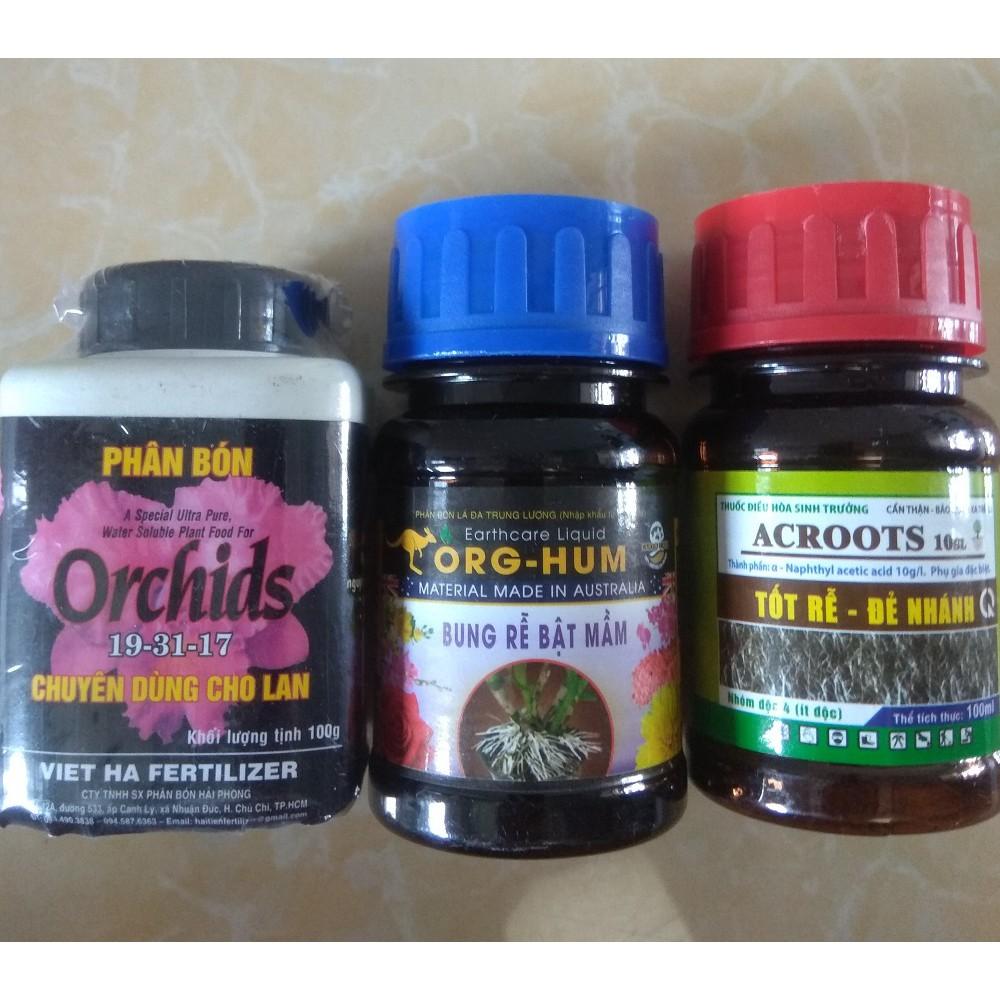 Bộ sản phẩm dưỡng cây chăm sóc cây mai, bông giấy - 100ml/chai