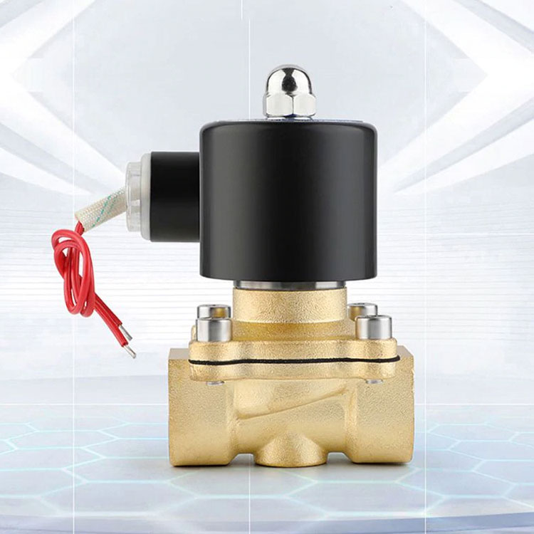 Van điện từ 2W-160-15 24V ren 21mm