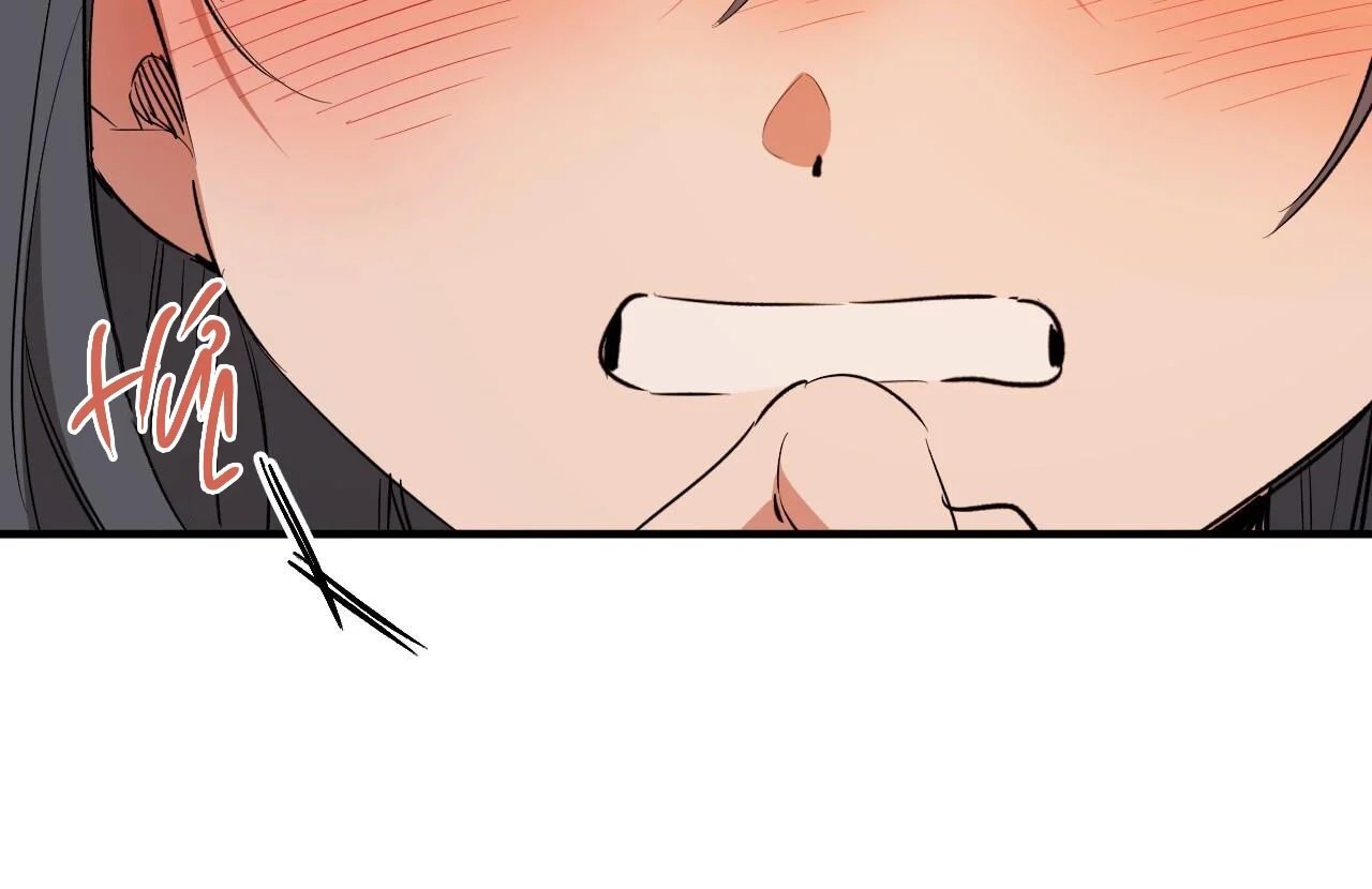 những chú thỏ của hapypy chapter 65 51