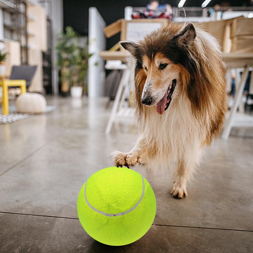 9.5‘’ Tennis Balls Inflatable Tennis Ball with Pump Dog Toy Balls For Signature Children Adult Pets Dogs Cats Fun