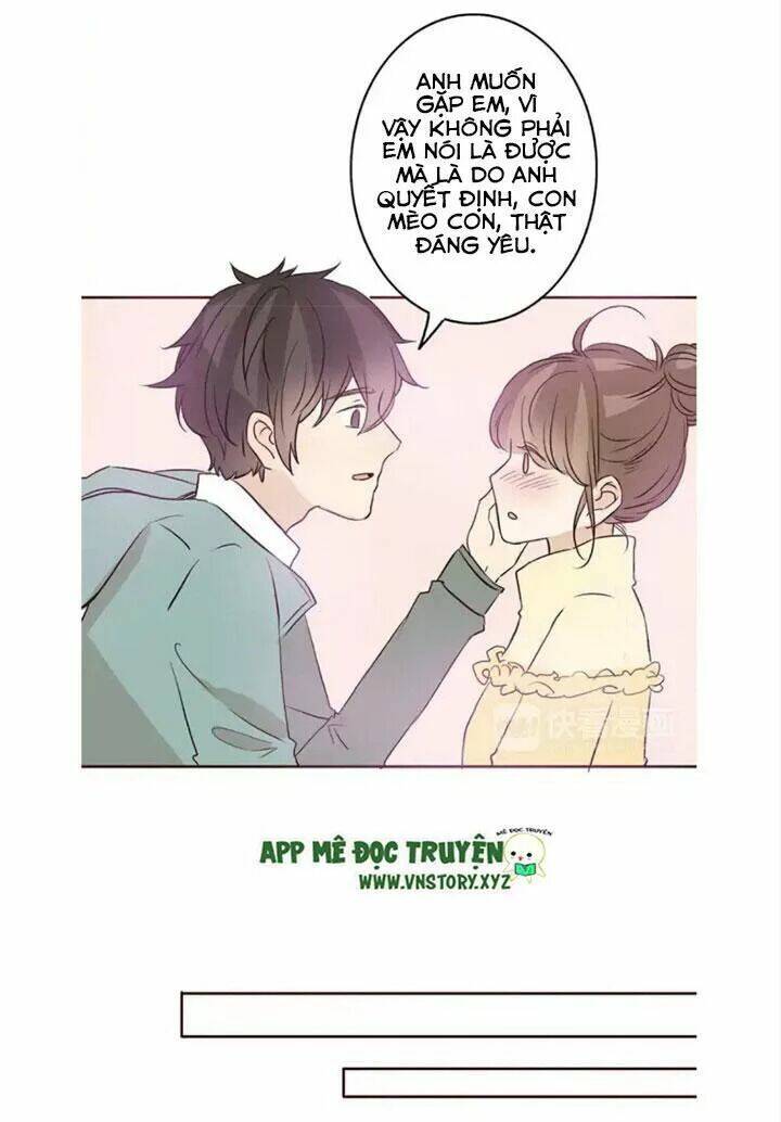 tình yêu không nói dối chapter 47 46