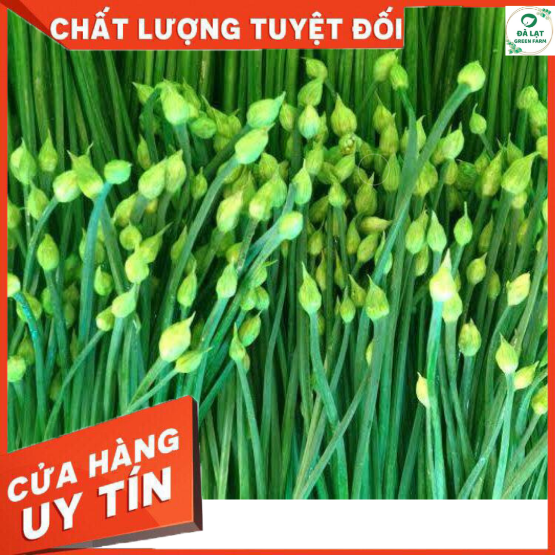 1GR - HẠT GIỐNG HẸ BÔNG