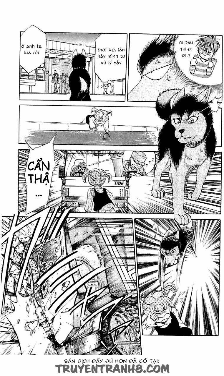 wild half chapter 3 5