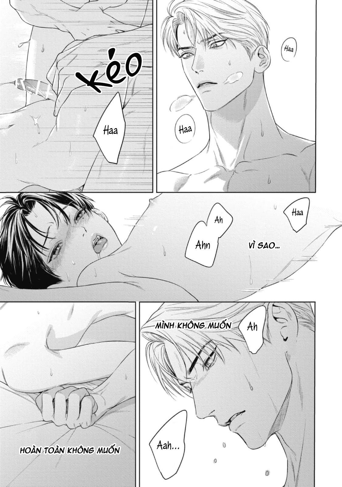 cô dâu của alpha chapter 19 11