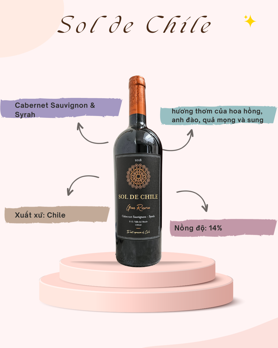 Rượu vang Sol de Chile Cabernet Sauvignon - Syrah Gran Reserva