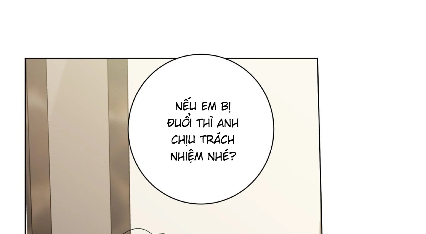 home five chapter 52 260